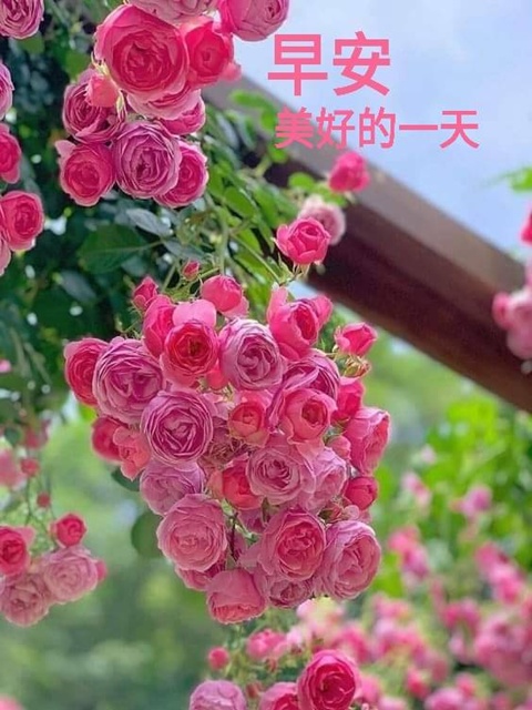 按我可連結至更清楚的圖片